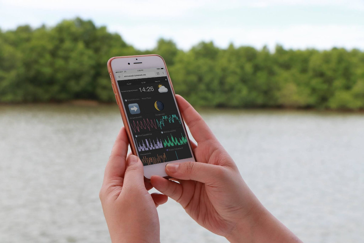Smart and Ericsson uses IoT to monitor the health of mangroves.