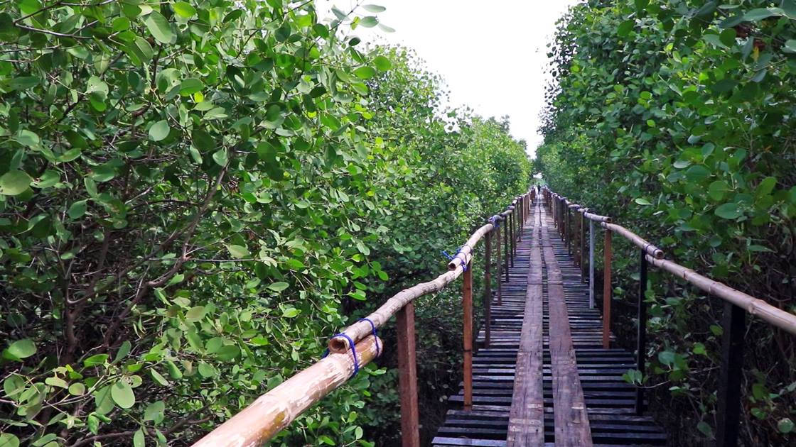 Gabay Kalikasan will scale up Connected Mangroves, developed by network partner Ericsson and initially deployed in Sasmuan Bangkung Malapad Critical Habitat and Eco-tourism Area in Pampanga in 2017.