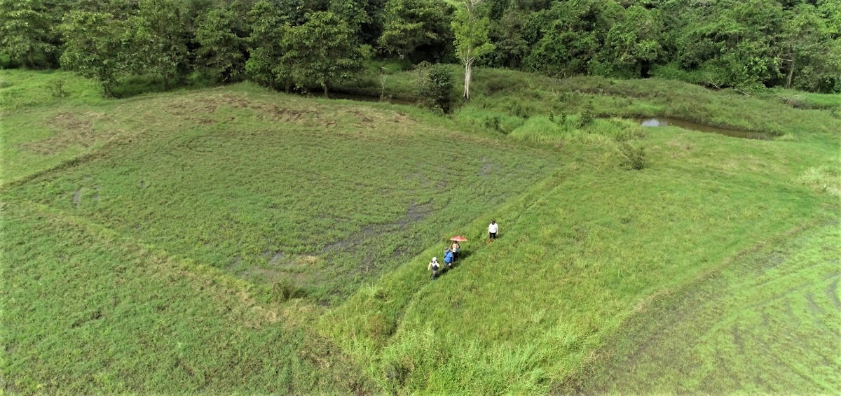 In February 2020, reps of the PLDT-Smart and DENR Biodiversity Management Bureau visited the Caimpugan Peatlands in Agusan Del Sur in line with their peatlands conservation program.