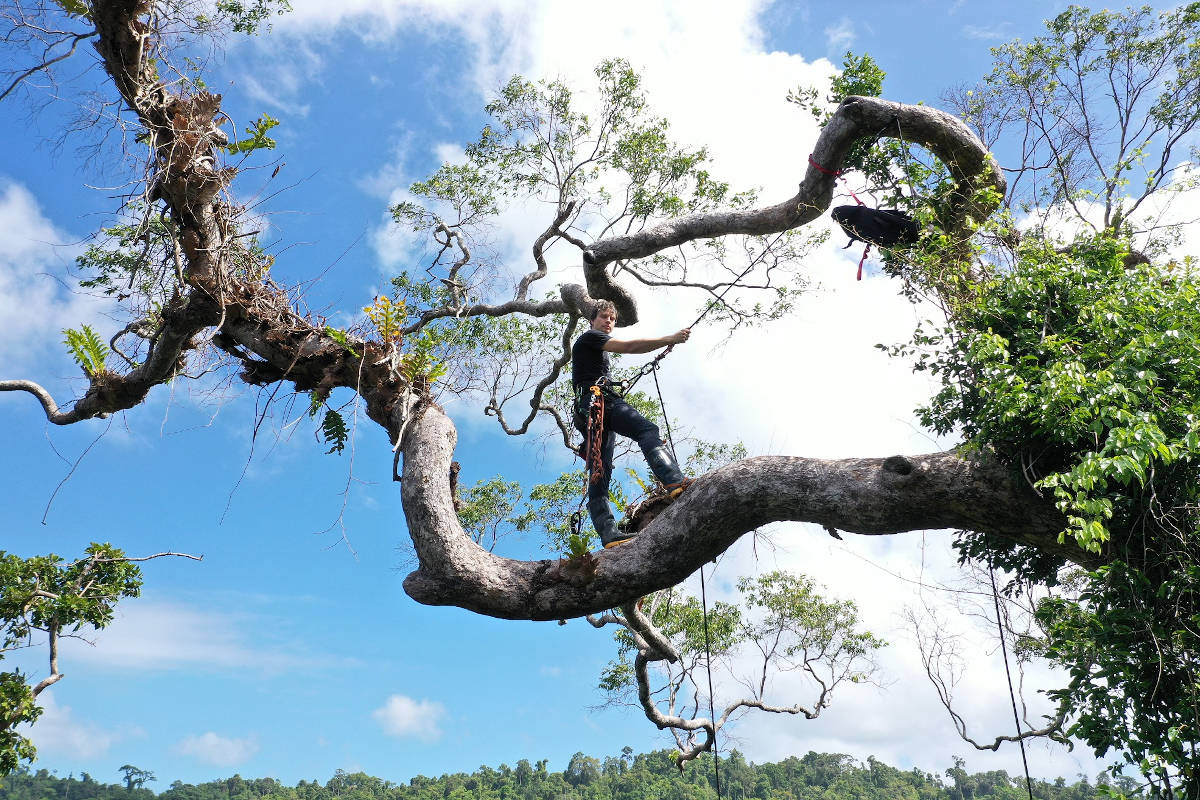 Developed by a US-based NGO of the same name, Rainforest Connection uses IoT to help prevent illegal logging and poaching activities.