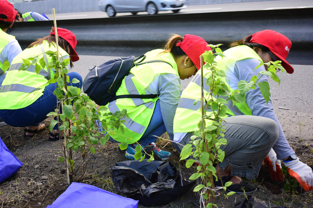 Some PLDT employee-volunteers work together in planting the seedling.